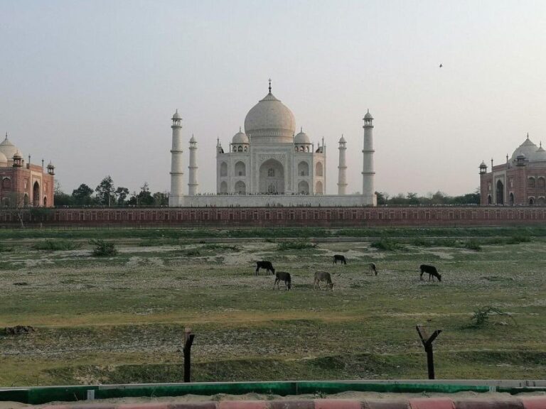 From Delhi:- Taj Mahal Private Guide Tour With Options