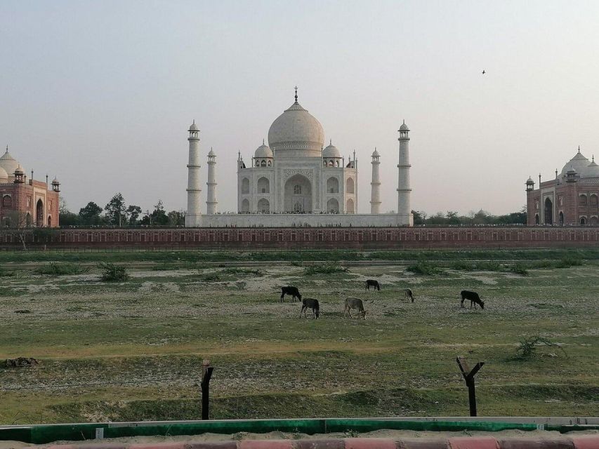 1 from delhi taj mahal private guide tour with options From Delhi:- Taj Mahal Private Guide Tour With Options