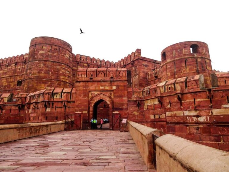 From Delhi: Taj Mahal Sunrise and Agra Fort Private Tour