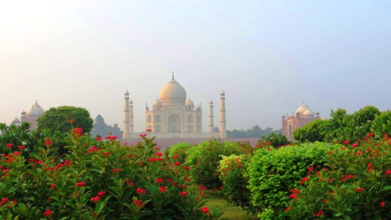 From Delhi Taj Mahal Sunrise Tour