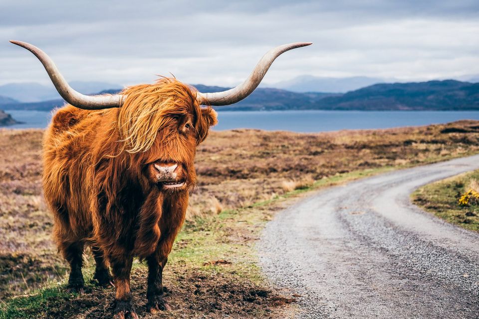 From Edinburgh: 3-Day Isle of Skye, Highlands & Loch Ness - Important Information