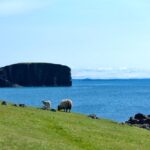 1 from edinburgh 6 day shetland nothernmost explorer 2 From Edinburgh: 6-Day Shetland & Nothernmost Explorer