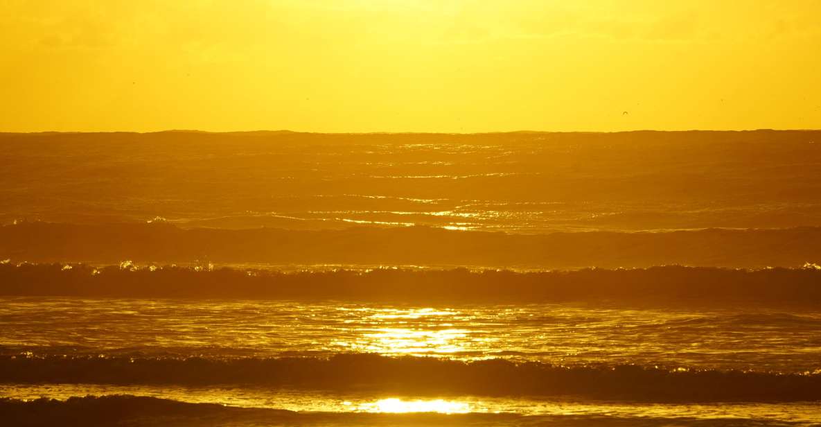 From Essaouira: 2h Horseback Ride With Sunset