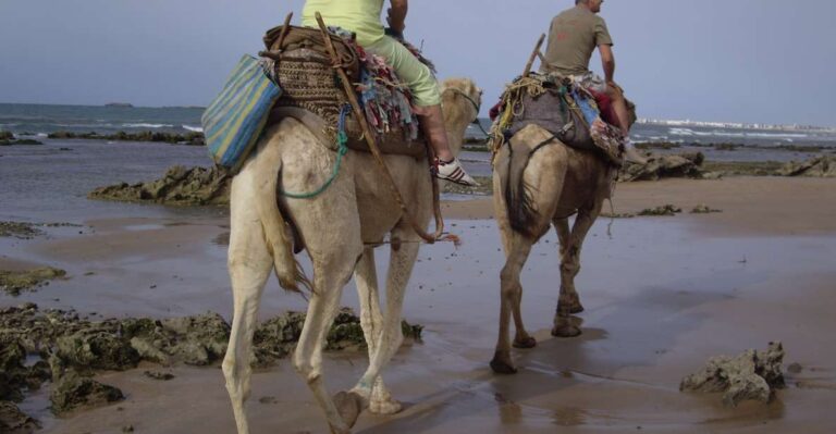 From Essaouira: Camel Tour With Overnight Stay in a Tent