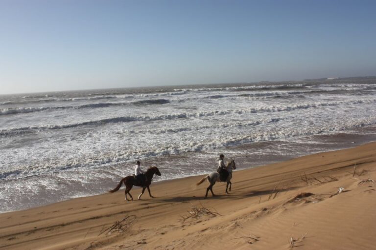 From Essaouira: Horseback Tour With Overnight Berber Camp