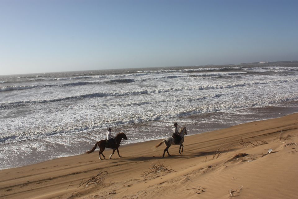 1 from essaouira horseback tour with overnight berber camp From Essaouira: Horseback Tour With Overnight Berber Camp