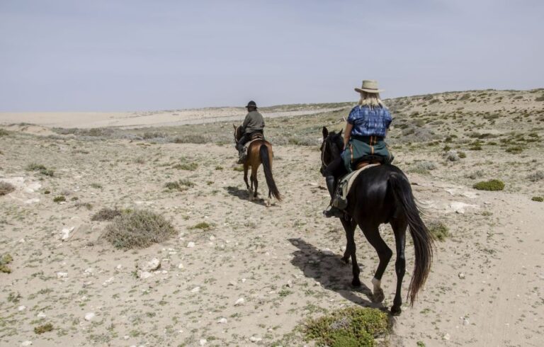 From Essaouira: Scenic Diabat Horseback Ride With Transfer