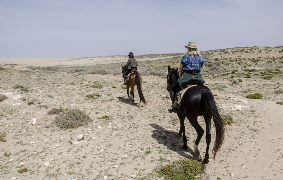 1 from essaouira scenic diabat horseback ride with transfer From Essaouira: Scenic Diabat Horseback Ride With Transfer