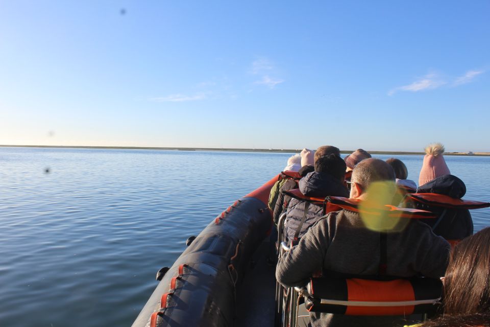 1 from faro dolphin watching wildlife From Faro: Dolphin-Watching & Wildlife