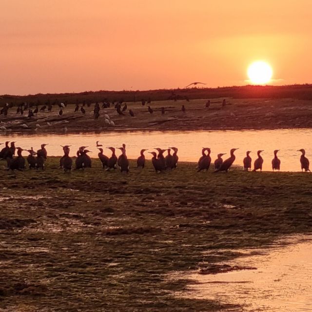 1 from faro ria formosa islands sunset catamaran cruise From Faro: Ria Formosa Islands Sunset Catamaran Cruise