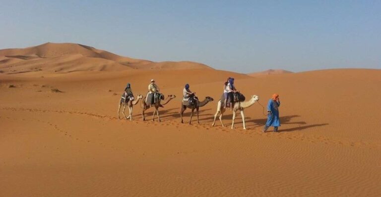 From Fes: 2-Day Desert Tour With Return to Fes or Marrakech