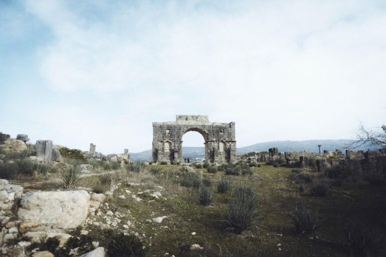 From Fes: Day Trip to Volubilis and Meknes