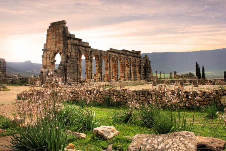 From Fes: Shared Volubilis Moulay Driss and Meknes Day Trip