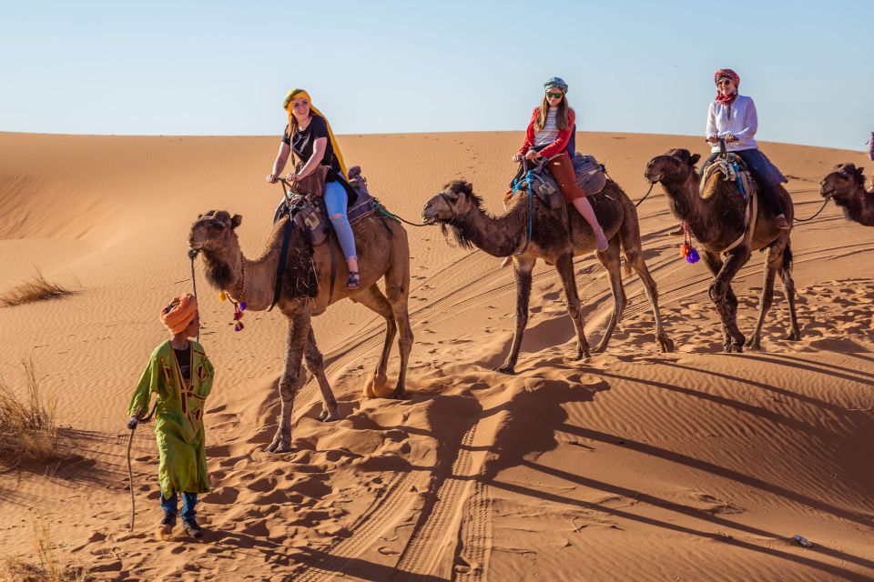 1 from fez 2 days desert tour to marrakech via merzouga From Fez: 2-Days Desert Tour to Marrakech via Merzouga