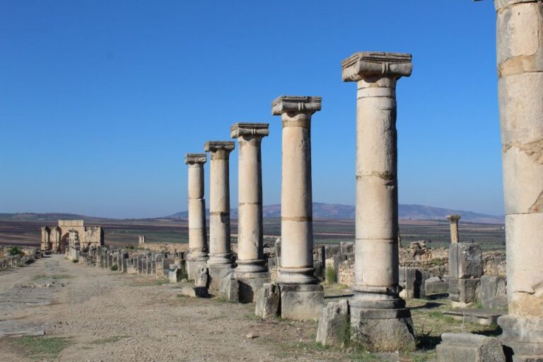 From Fez: Volubilis Moulay Idriss and Meknes Day Trip