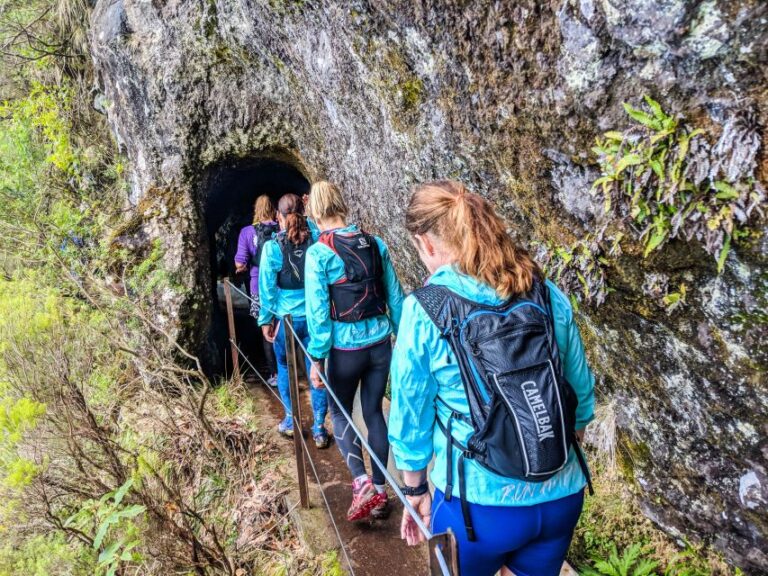 From Funchal: Easy to Moderate Green Levada Running Tour