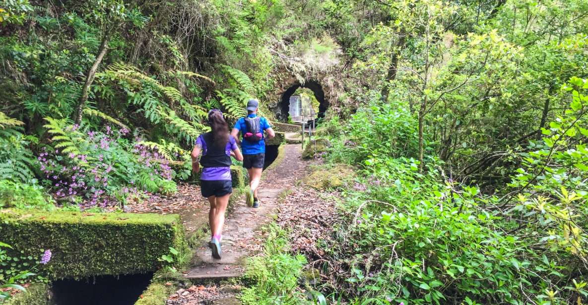 1 from funchal folhadal trail running tour moderate From Funchal: Folhadal Trail Running Tour (Moderate)