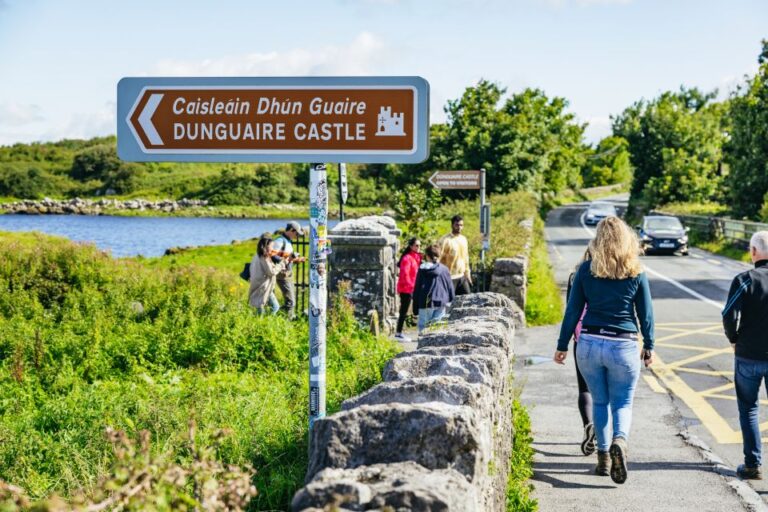 From Galway: Full-Day Cliffs of Moher & Burren Guided Tour