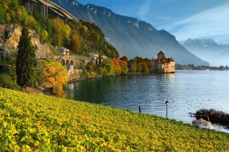 From Geneva: Swiss Riviera Private Tour