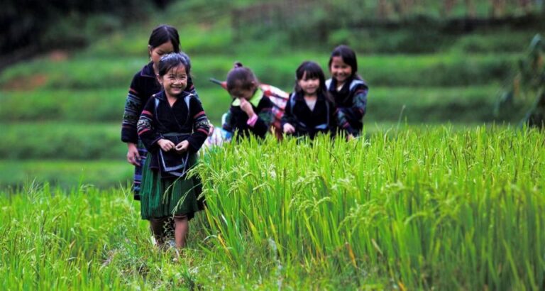 From Hanoi: 3-Day Sapa Trek With Guide, Homestay and Meals