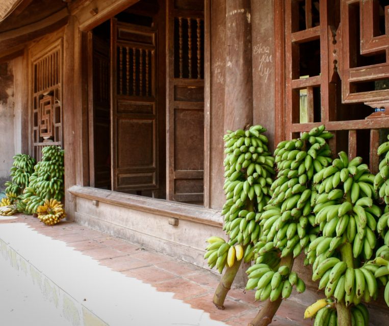 From Hanoi: Duong Lam Ancient Village Tour