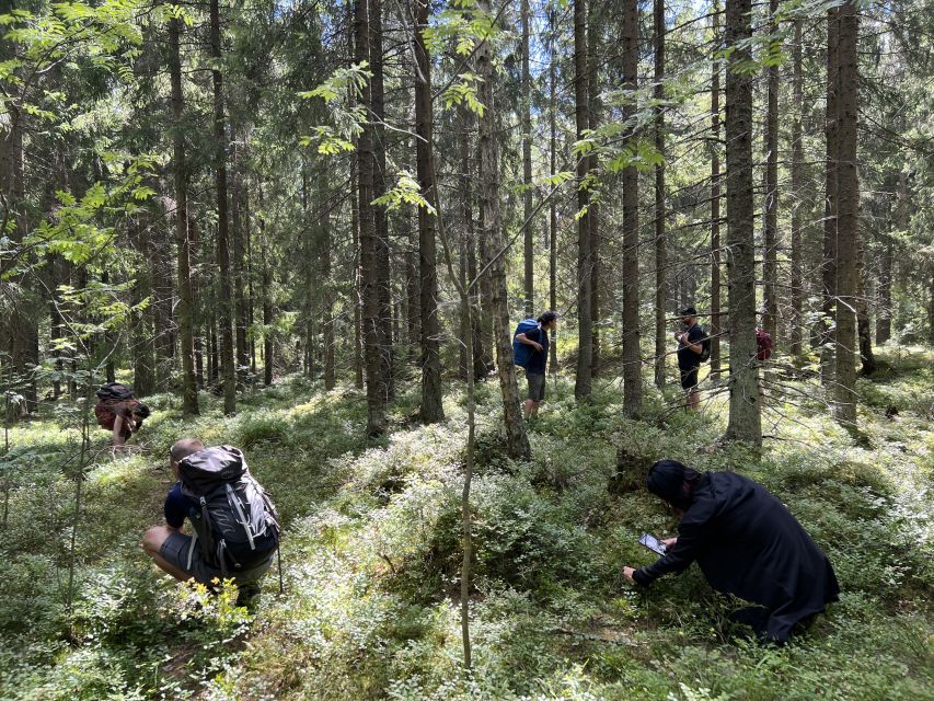 1 from helsinki hike and sauna in sipoonkorpi national park From Helsinki: Hike and Sauna in Sipoonkorpi National Park