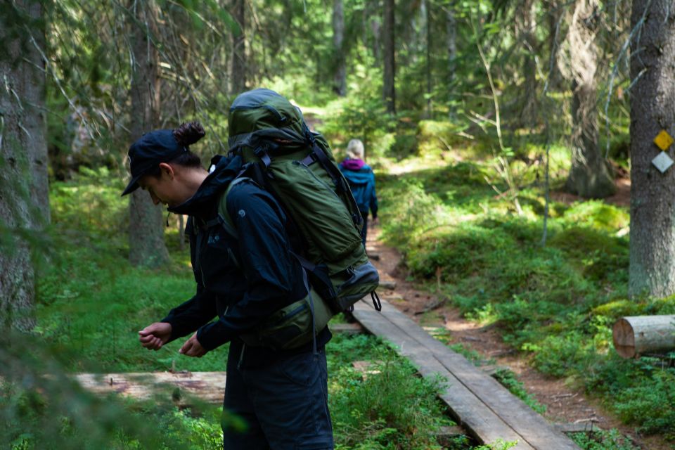 1 from helsinki mushroom hunting tour in a national park From Helsinki: Mushroom Hunting Tour in a National Park