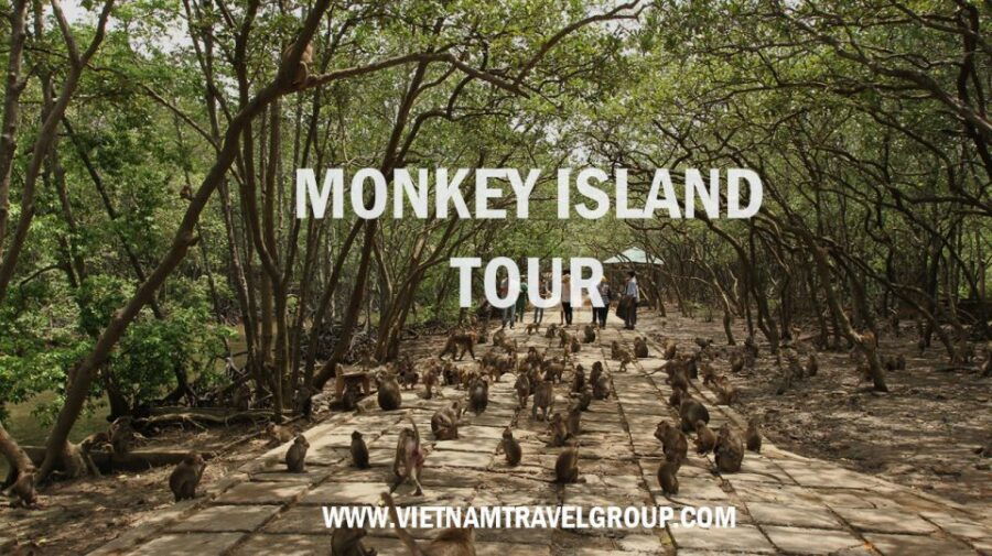 From Ho Chi Minh City: Can Gio Mangrove Guided Forest Tour