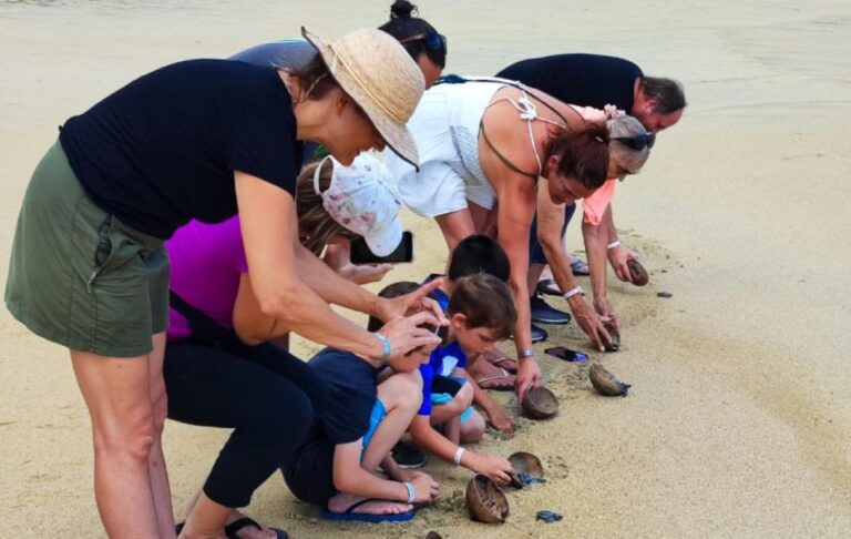 From Huatulco:Turtle Release and Bioluminescence Tour