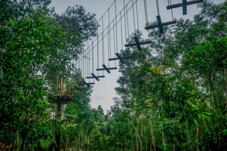 From Hue: Thanh Tan Hot Spring Zipline and Highwire Tour