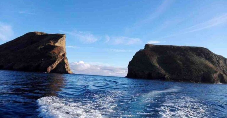 From Ilha Terceira: Ilhéu Das Cabras Snorkeling Boat Tour