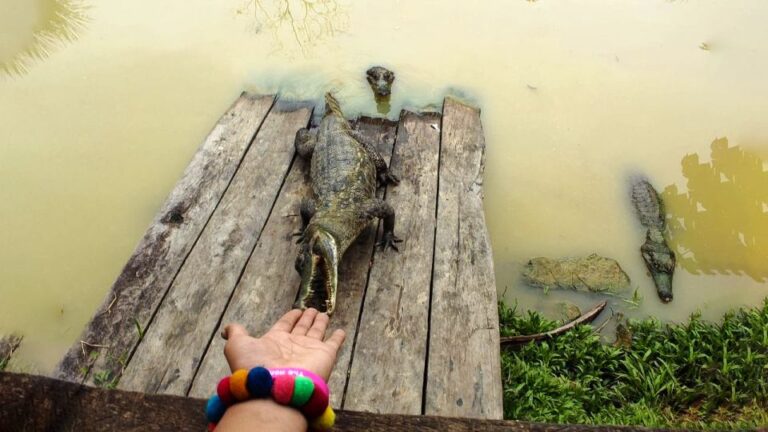 From Iquitos: 3-Day Amazon Jungle Adventure Trip