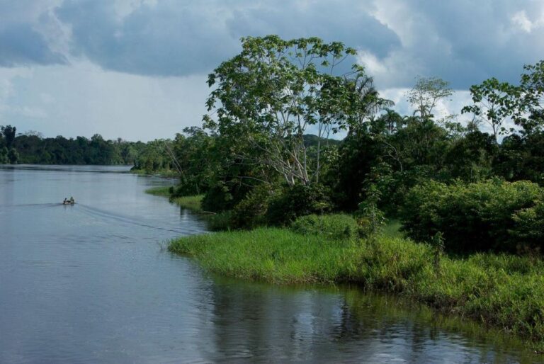 From Iquitos 3-Day Tour Pacaya Samiria National Reserve
