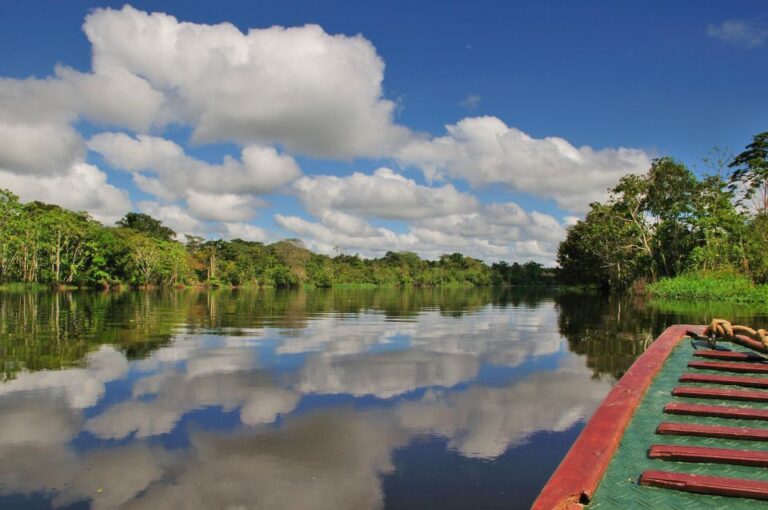 From Iquitos: 4-day Pacaya Samiria National Reserve Tour