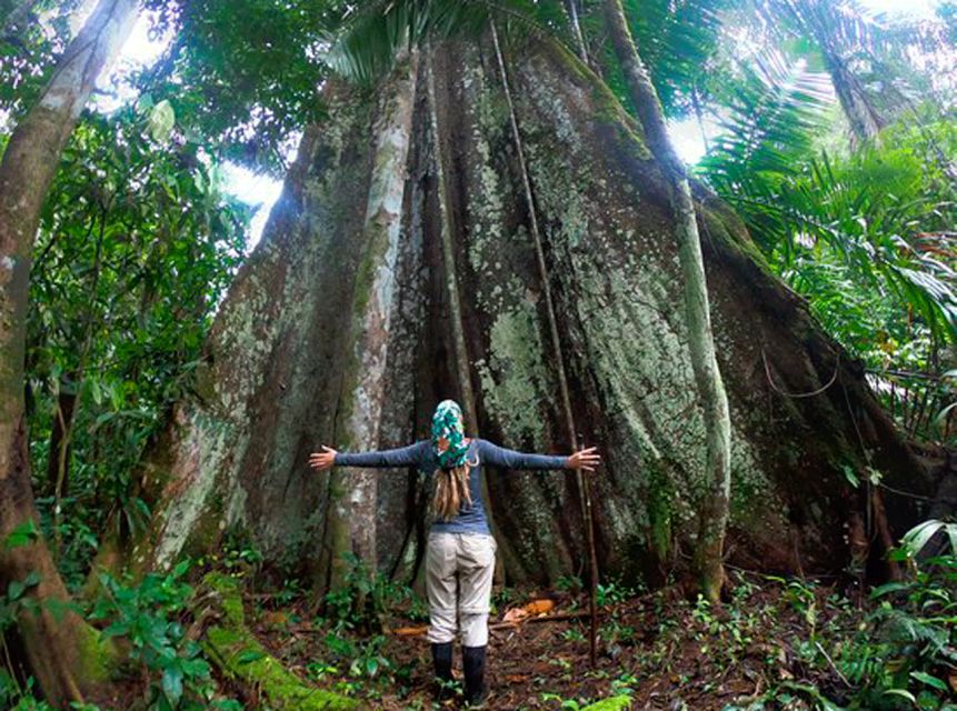 From Iquitos: Full Day Pacaya Samiria - Tour Highlights