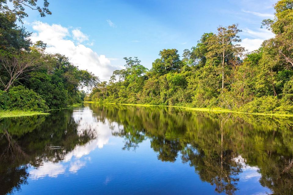 1 from iquitos navigate the amazon river full day From Iquitos Navigate the Amazon River - Full Day