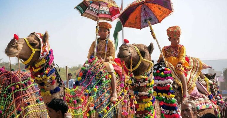 From Jaipur: One-Day Trip From Jaipur to Pushkar