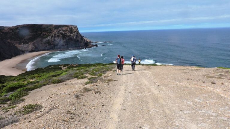 From Lagos: Private Guided Hike Along the Vicentina Coast