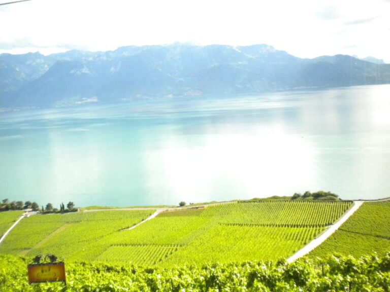From Lausanne: Swiss Riviera Tour