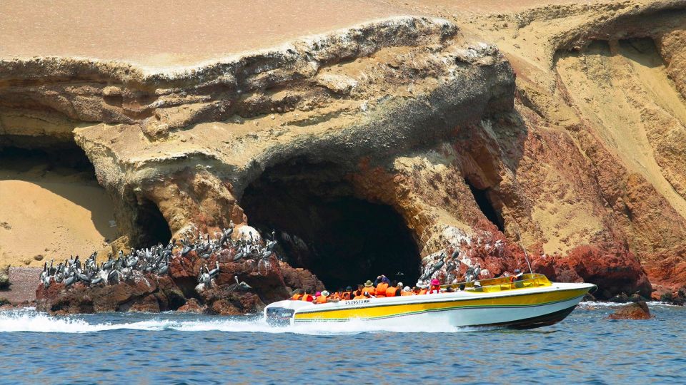 1 from lima full day paracas and huacachina bus tour From Lima: Full-Day Paracas and Huacachina Bus Tour