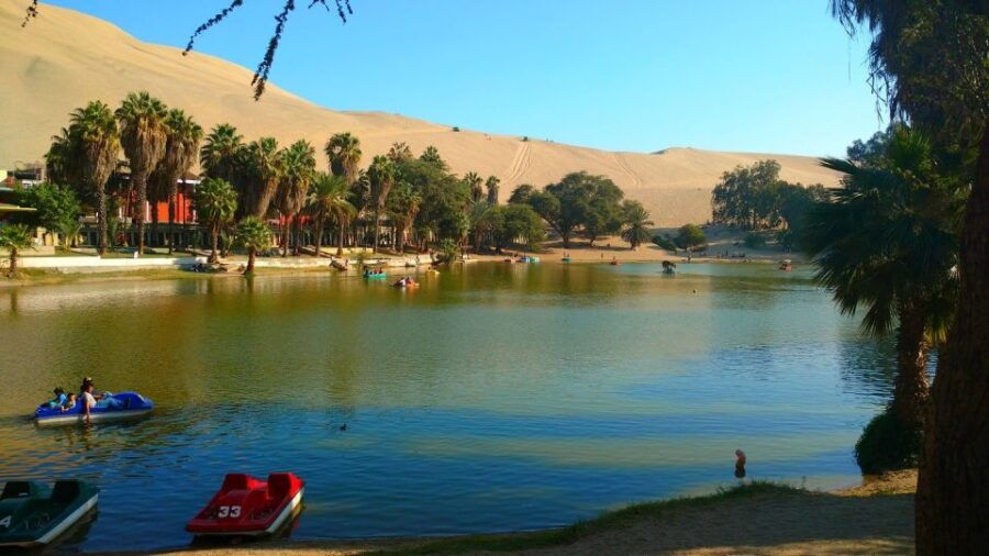 From Lima: Huacachina Oasis, Lunch, & Local Winery Tour