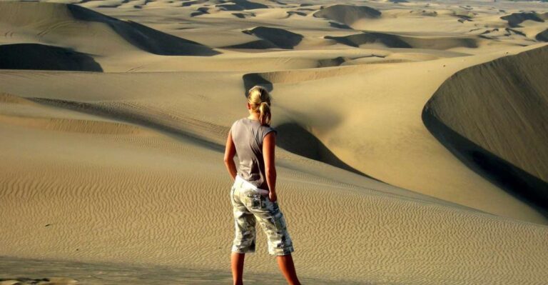 From Lima: Paracas and Huacachina Full Day Guided Tour