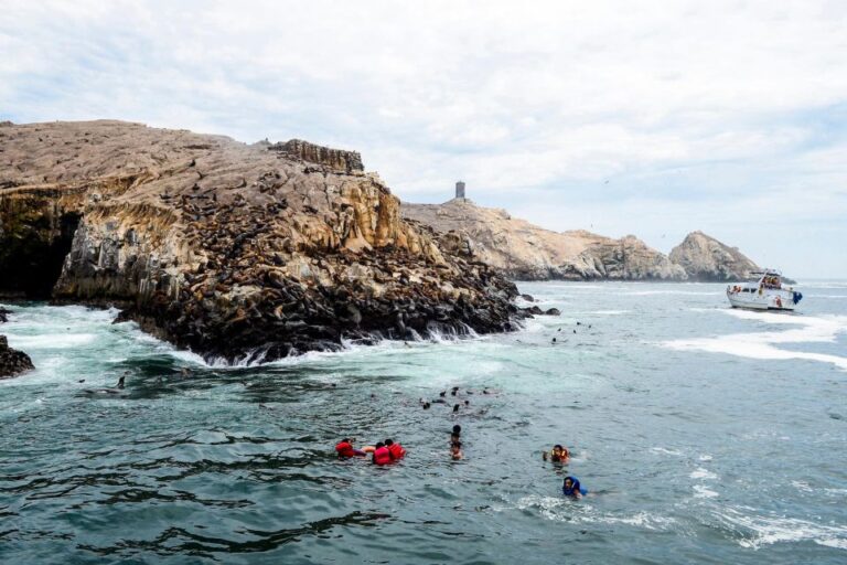 From Lima: Tour Palomino Islands – Callao Bay Half Day