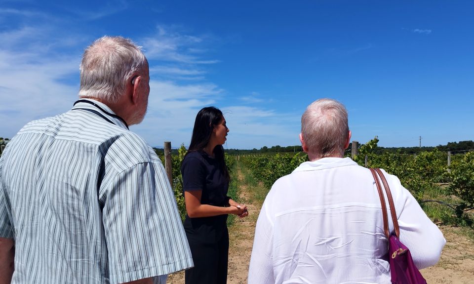 1 from lisbon setubal arrabida wine tour with lunch From Lisbon: Setúbal & Arrábida Wine Tour With Lunch