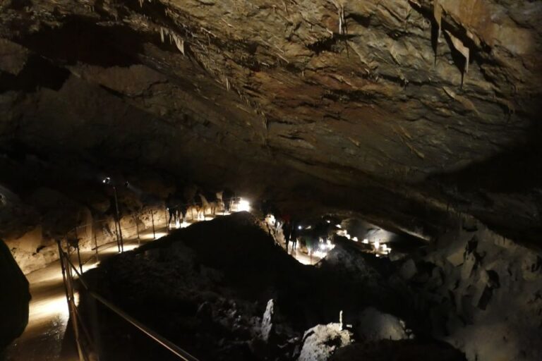 From Ljubljana: Skočjan Caves Half-Day Trip