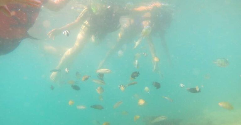 From Lombok: Southern Gilis Private Snorkelling Day Trip