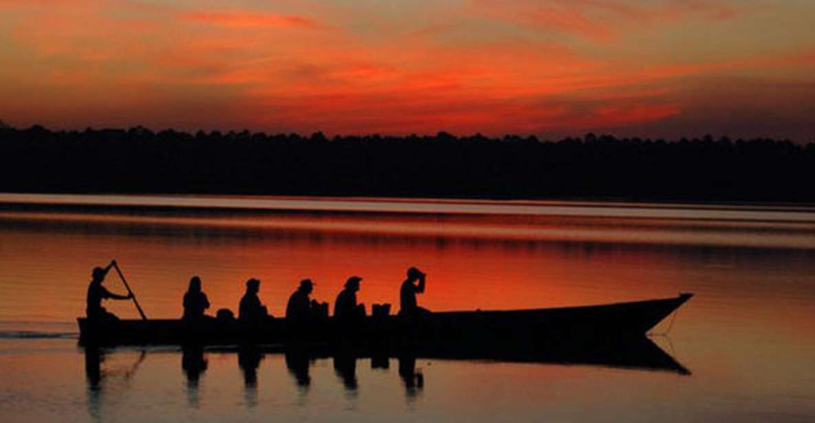 1 from madre de dios night trekking in the amazon rainforest From Madre De Dios Night Trekking in the Amazon Rainforest