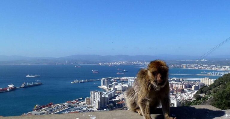 From Malaga: Private Gibraltar Highlights Day Trip