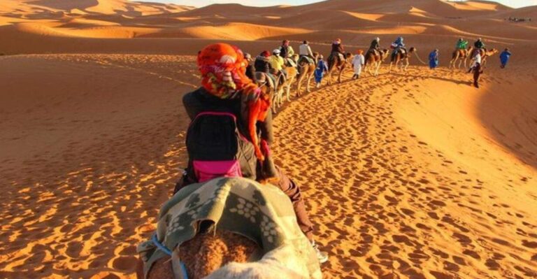From Marrakech : 3-Day Sahara Desert Safari With Food & Camp