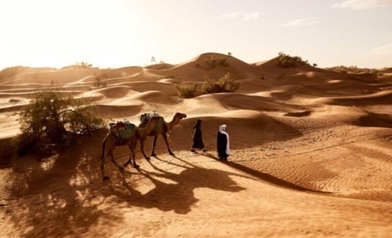 From Marrakech: 6 Days Deep South In Morocco And Desert Tour